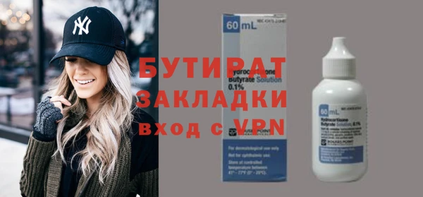 сатива Гусев