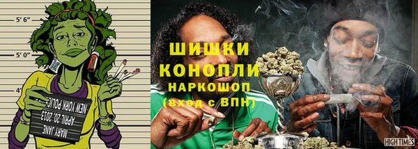гидра Шарыпово