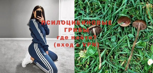 сатива Гусев