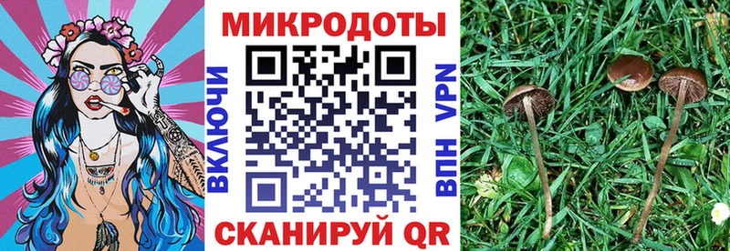 купить наркотик  Харовск  площадка телеграм  Галлюциногенные грибы прущие грибы 